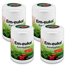 엠오이칼 유칼립투스 캔디, 40g, 4개