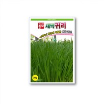 보키니 새싹귀리 귀리 씨앗 종자 30g