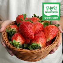 무농약 킹스베리 딸기 생딸기 겨울 제철 논산딸기, [무농약 킹스베리], 왕특2팩 (40~59g), 2개