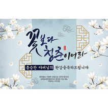 꽃보다 청춘 환갑 칠순 현수막 돈케이크 퇴임 TM, 150-200cm, 문구형