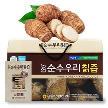 농협 생 원액 칡즙 홍삼 농축액 갱년기칡즙 음료 80ml 30포 1박스
