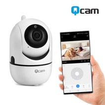가정용 cc TV 보안 카메라 소형 무선 반려 동물 집에 IP 견 어르신 방범 적외선 감지 설치 가격 모션 업소용 #216EA, 본상품선택, 본상품선택
