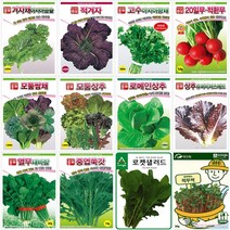 쌈채소 잎채소 상추 여름 씨앗 모음 루꼴라 케일 청경채 치커리 청상추 시금치, 9.열무 새바람