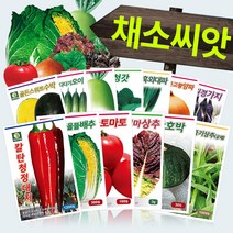 다농 채소 씨앗모음전 - 열매채소 뿌리채소 잎채소 쌈채소 고추 토마토 배추 무 상추 갓 파 부추 호박 가지 딸기 오이 멜론 여주 수세미 박 씨앗 종자, AF07=벌꿀장호박씨앗30립!