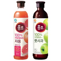 인기 홍초미니 추천순위 TOP100 제품들