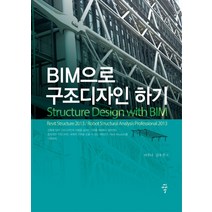 BIM으로 구조디자인 하기:Revit Structure 2013 / Robot Stuctural Analysis Professional 2013, 씨아이알, 이주나