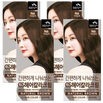 꽃을든남자 간편하게 나눠쓰는 CS 헤어칼라 N6 자연갈색, 4개