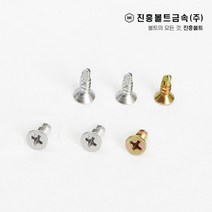 일반 스텐 접시머리 직결나사 피스 봉지판매(13mm ~ 100mm), 1.백도금, FH #8-32