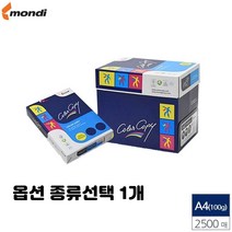 레이저 프린터용 A4 A3 복사 에이포 용지 100g 135g 160g 90g 미색 유광 백색 종류선택 1개, A4 백색 100g 2500매