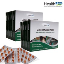 헬스업 뉴질랜드 녹색 초록입홍합 오일 7500mg 240소프트겔 2개 - 주문후 10일이내 수령예상(공휴일제외), 뉴질랜드 프로폴리스 60정, 240정 - 2개