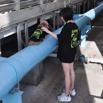 의류 강아지견주 시밀러룩 후드티 파티 트레이닝복 원피스 휴가 귀여운 캠핑 가을 개플룩