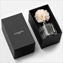 라피네르 차량용 디퓨저 방향제 120ml 에스카다, 1개