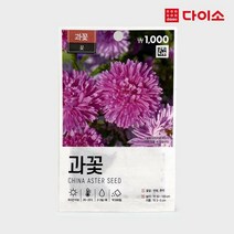 [다이소]초록스타과꽃-47908