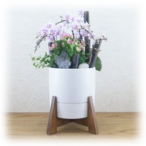PFA053 친구 임신 출산 꽃바구니 생화꽃다발 축하화분