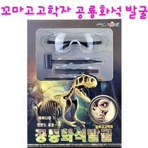 리얼세일(Realsale) 꼬마고고학자 공룡화석발굴 공룡화석발굴세트, 3개