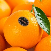 고당도 퓨어스펙 블랙라벨 네이블 오렌지 대과 중과, 20개, 4.8 kg내외 대과