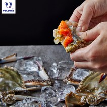 욜로켓 만능소스 게장용 간장 양념소스 2.5kg, 국내산 연평도 알배기 암꽃게 500~600g 급냉
