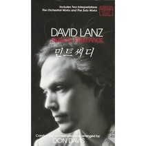[카세트 테이프] David Lanz ‎– Skyline Firedance