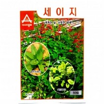 아시아종묘/허브씨앗종자 세이지(50립)