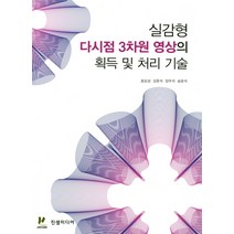 실감형 다시점 3차원 영상의 획득 및 처리 기술, 진샘미디어