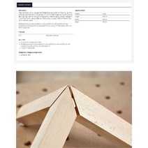 페스툴 도미노 풀세트 DF500+핀세트 묶음 576425+576794