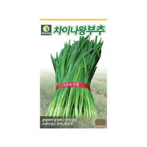 (DN) 차이나왕부추 씨앗(20g)