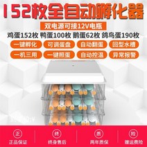 계란 병아리 부화기 인큐베이터 자동 소형 가정용 지능형 오리 거위 미니 장비, 투명 152 완전 자동 이중 배터리