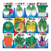 아삭고운무 100립 [22년포장] 청피홍심 계열의 붉게 예쁘고 맛있는 무 종자