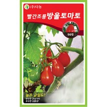 밀크티쓸 흰무니 엉겅퀴 2g - 씨 씨앗 밀크씨슬 엉겅퀴씨앗 나물 나물씨앗 채소씨 채소씨앗 흰무니엉겅퀴, 13_다농_빨간 조롱방울토마토(50립)