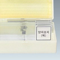 양파표피 핵 프레파라트 세포 관찰 수업