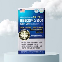미국 프롤린 모유 유산균 멀티코팅 락토바실러스 가세리 루테리 람노서스, 프로바이오틱스5000 프리+아연 60캡슐×2개, 2개