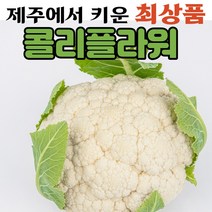 (최상품) 국산콜리플라워 국내산 국산 제주 생 콜리플라워 컬리플라워 브로콜리 3kg 5kg 10kg, (4) 제주특산품 브로콜리 3kg