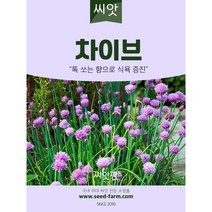 차이브 씨앗(400립) 허브씨앗