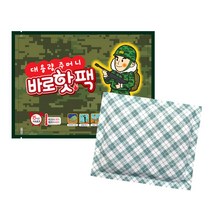 팜텍코리아 대용량 주머니 바로 핫팩 150g 1매 겨울필수품 군용, 1개