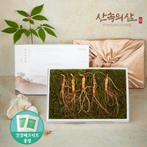 6~10년근 국내산 산양삼 산삼 산양산삼 장뇌삼 장뇌산삼, 6년근 프리미엄 5뿌리 (1상자)