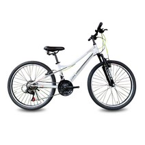 알톤스포츠 2021 알톤 맨하탄 24 SF MTB 미조립 자전거, 화이트, 1520mm