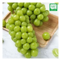 [기타] [GAP인증] 프리미엄 특품 상주 샤인머스켓 1.5kg (2-3송이), 상세 설명 참조