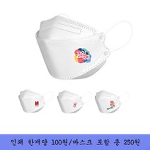 미연다 kf94 새부리 3D 2D 덴탈 마스크 프린팅 로고 인쇄 단체 주문제작 (면티에코백가능), KF94 3D마스크, 100~499개