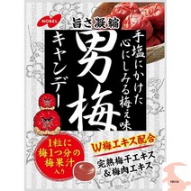 일본소금사탕 얼음사탕 소금사탕 일본사탕 노벨 남자 매실 80g × 6 봉지, 6개