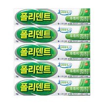 폴리덴트 의치부착재 후레쉬 민트 70g