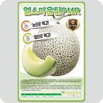 얼스마운틴 PMR 멜론 씨앗 10립 멜론씨앗