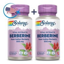 베르베린 인도 바베리 뿌리 추출물 500mg 60캡슐 2통 CHECKYOU, 2개, 60정