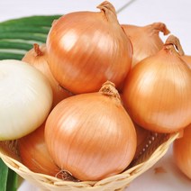 [푸르젠] 선별배송 국내산 신선 22년산 양파, 1개, 10kg(소/장아찌용 100g 미만)