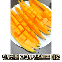 달콤한 고당도 과즙 칸탈로프메론 4~9kg(2~5수) 칸탈로프 국산 멜론 메론 칸탈로프멜론 프리미엄 당도선별 꿀메론 꿀 멜론 꿀멜론 고당도 고당도메론 주황메론 주황색메론 노을메론, 6~7kg(3~4수), 1개