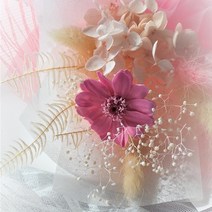 백일홍미니다발, 핑크