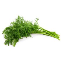 허브 딜 생잎 100g (Dill) 향신료, 딜 100g, 1개
