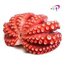 새우몰 제수용 자숙문어 1마리 1.0kg-1.29kg 단지 돌문어