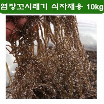 완도명가 염장 꼬시래기 생꼬시래기 국내산 해초 샐러드 무침 10kg