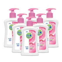 데톨 핸드워시 스킨케어 본품, 250ml, 6개