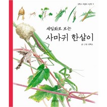 세밀화로 보는 사마귀 한살이, 길벗어린이